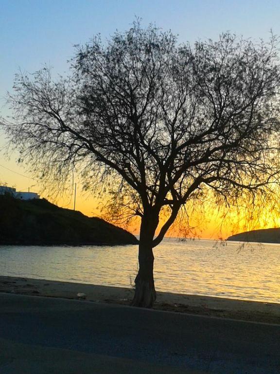 Calypso İlipsi